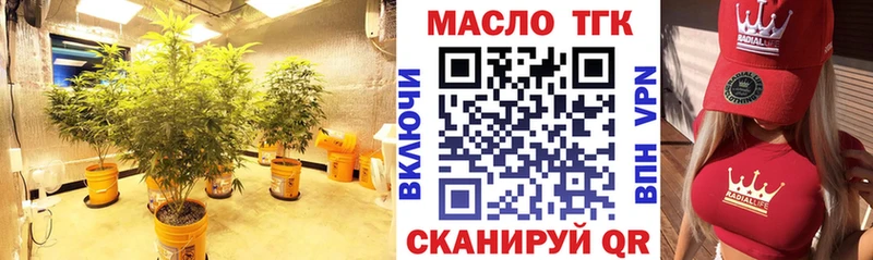 ТГК концентрат Изобильный