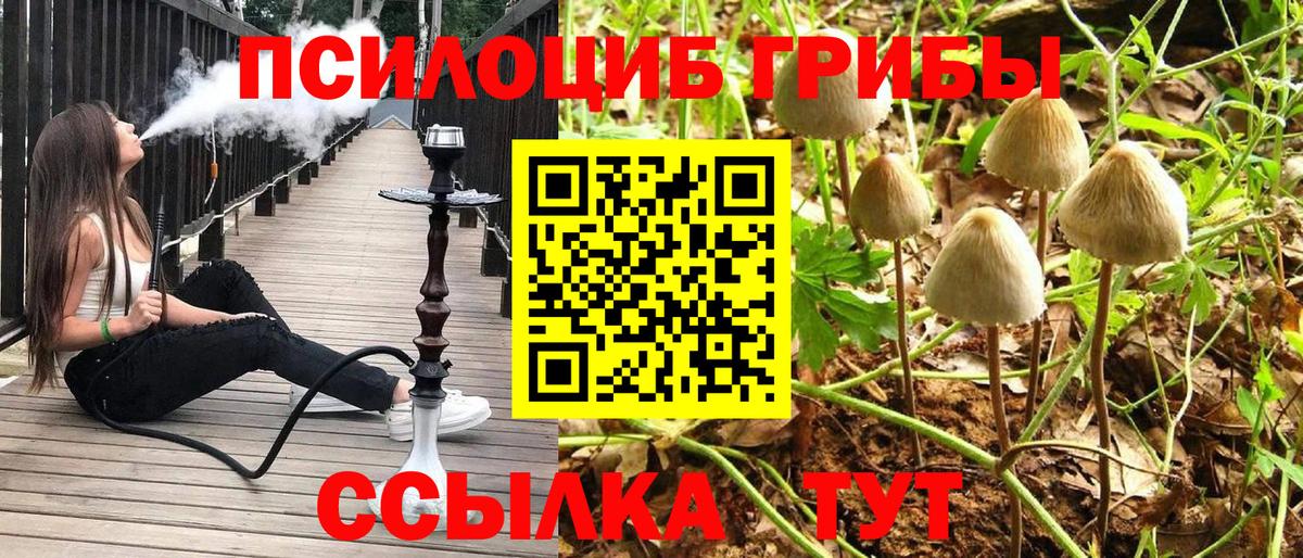 Псилоцибиновые грибы мицелий Изобильный
