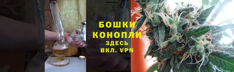 omg как зайти  что такое   Изобильный  МАРИХУАНА OG Kush 